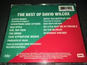 CD - David Wilcox - The Best Of David Wilcox