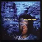 David Wilcox - Underneath
