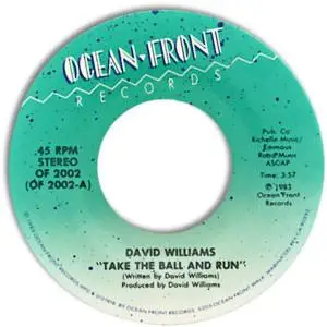 David Williams - Take The Ball And Run / Here To Stay