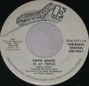 7inch Vinyl Single - David Ackles - One Night Stand