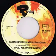 7inch Vinyl Single - David Alexandre Winter - Oh Lady Mary