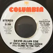 David Allan Coe - If You'll Hold The Ladder
