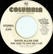 David Allan Coe - She Used To Love Me A Lot