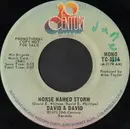 7inch Vinyl Single - David And David - Horse Named Storm