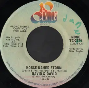 David & David - Horse Named Storm