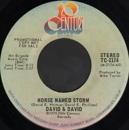 David And David - Horse Named Storm