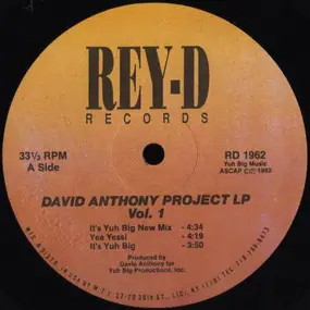 David Anthony - David Anthony Project LP Vol. 1