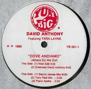 David Anthony Featuring Tara Layne - Dove Andiamo (Where Do We Go!)