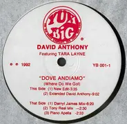 David Anthony Featuring Tara Layne - Dove Andiamo (Where Do We Go!)