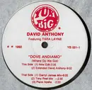 12inch Vinyl Single - David Anthony Featuring Tara Layne - Dove Andiamo (Where Do We Go!)