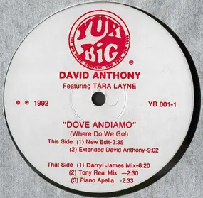 David Anthony - Dove Andiamo (Where Do We Go!)