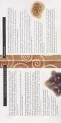 CD - David Arkenstone - Quest Of The Dream Warrior
