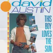 7inch Vinyl Single - David Austin - This Boy Loves The Sun