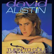 12inch Vinyl Single - David Austin - Turn To Gold