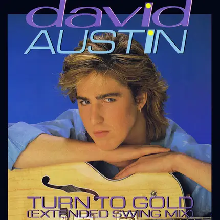 David Austin - Turn To Gold