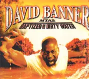 David Banner
