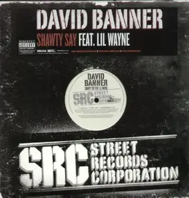 David Banner - Shawty Say