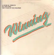 David Barbosa - Winning - Miami Dolphins NFL