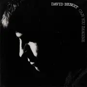 CD - David Benoit - Can You Imagine