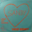 7inch Vinyl Single - David Bonney - Sandy / Young And Confused
