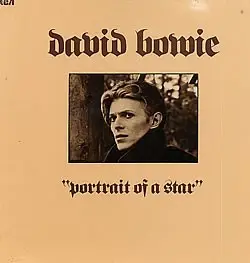 David Bowie - Portrait Of A Star