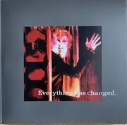 Double LP - David Bowie - Nothing Has Changed