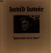 David Bowie - Portrait Of A Star