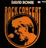 David Bowie - Rock Concert