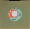 7inch Vinyl Single - David Box - Little Lonely Summer Girl - Original US
