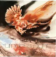 David Blonski With Synchestra - Timeless Flight