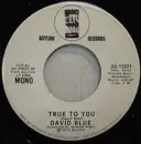 7inch Vinyl Single - David Blue - True To You - Promo Copy