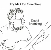 David Bromberg - Try Me One More Time