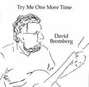 David Bromberg - Try Me One More Time