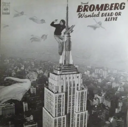 David Bromberg - Wanted Dead or Alive