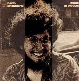 David Bromberg - Demon in Disguise