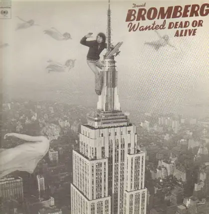 David Bromberg - Wanted Dead or Alive