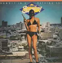 LP - David Bromberg Band - Bandit In A Bathing Suit