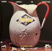The David Bromberg Band - How Late'll Ya Play'Til? Volume 1: Live