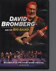 The David Bromberg Band - David Bromberg And His Big Band In Concert At The Count Basie Theatre, Red Bank, NJ.