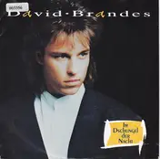 David Brandes - Im Dschungel Der Nacht