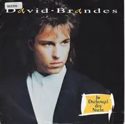 7inch Vinyl Single - David Brandes - Im Dschungel Der Nacht