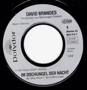 7inch Vinyl Single - David Brandes - Im Dschungel Der Nacht