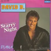 David Brandes - Starry Night