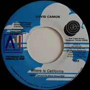 David Camon - Where Is California / Living Underground