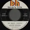 7inch Vinyl Single - David Canary - So Many People - Promo