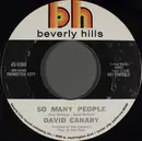 7inch Vinyl Single - David Canary - So Many People - Promo