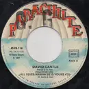 7inch Vinyl Single - David Castle - All I Ever Wanna Be Is Yours / The Loneliest Man On The Moon