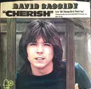 7inch Vinyl Single - David Cassidy - Cherish b/w All I Wanna Do Is Touch You