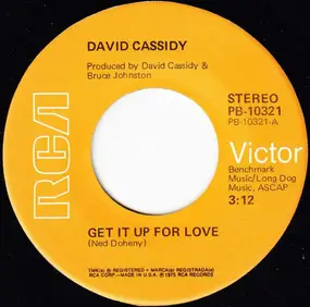 David Cassidy - Get It Up For Love