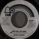 7inch Vinyl Single - David Cassidy - How Can I Be Sure / Ricky's Tune